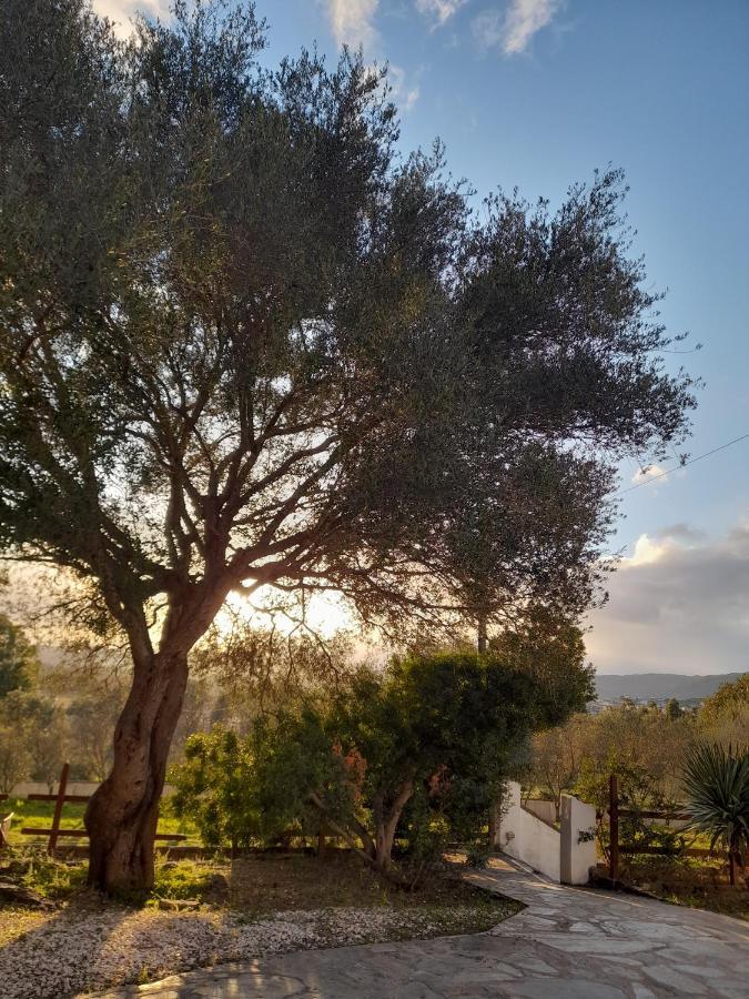 Agriturismo Palas De Serra Country Resort Onifai エクステリア 写真