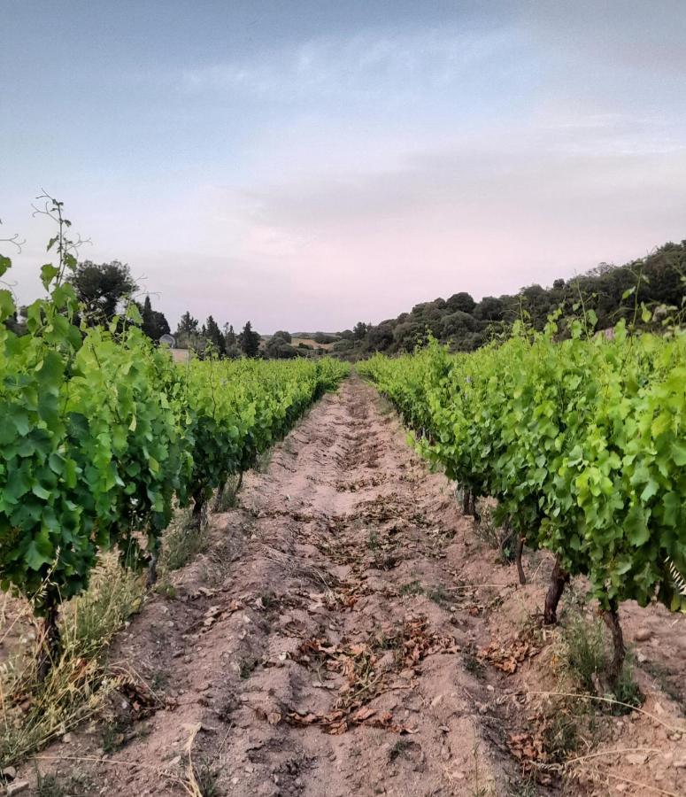 Agriturismo Palas De Serra Country Resort Onifai エクステリア 写真