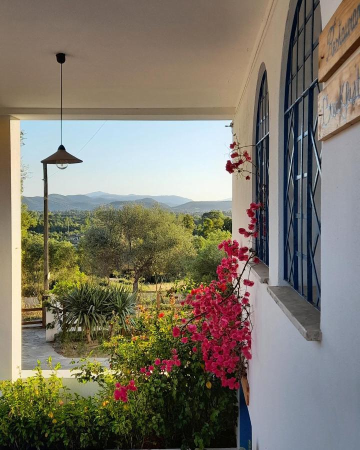 Agriturismo Palas De Serra Country Resort Onifai エクステリア 写真