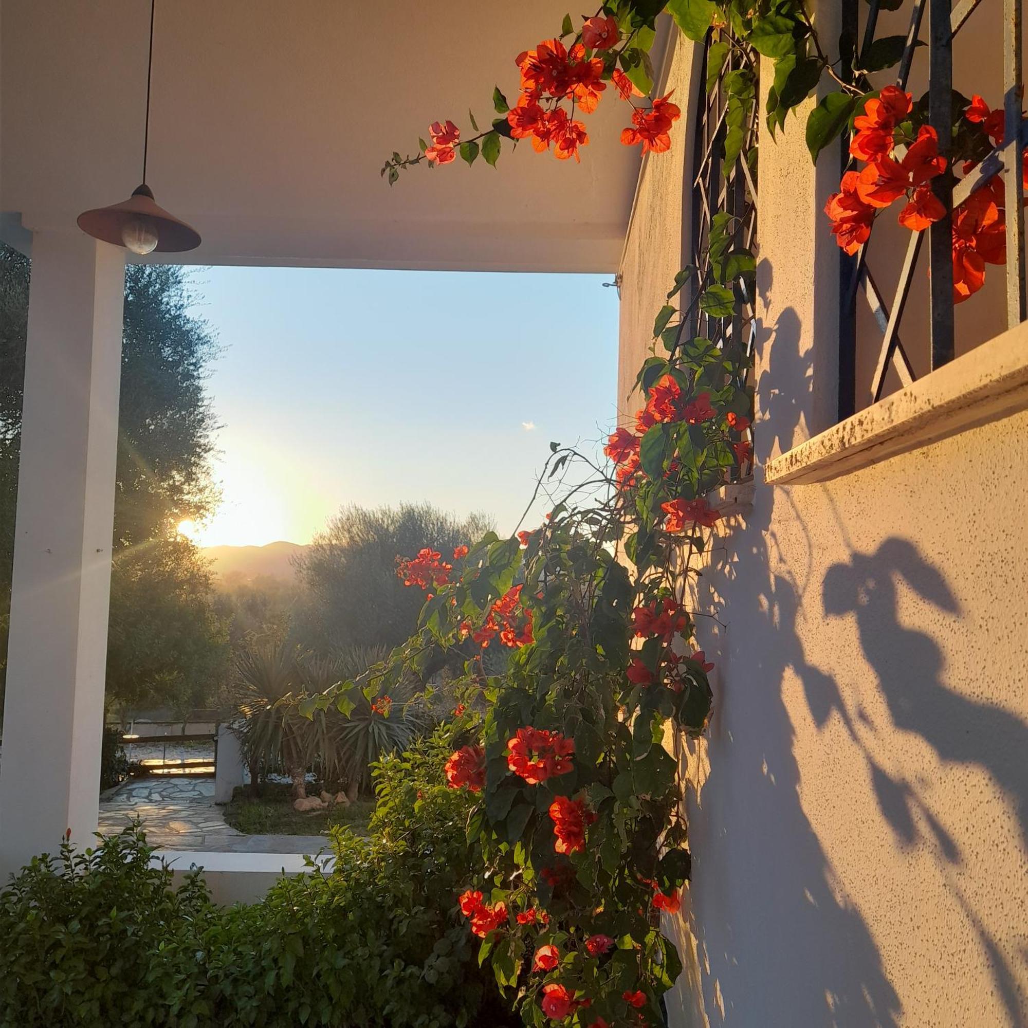 Agriturismo Palas De Serra Country Resort Onifai エクステリア 写真